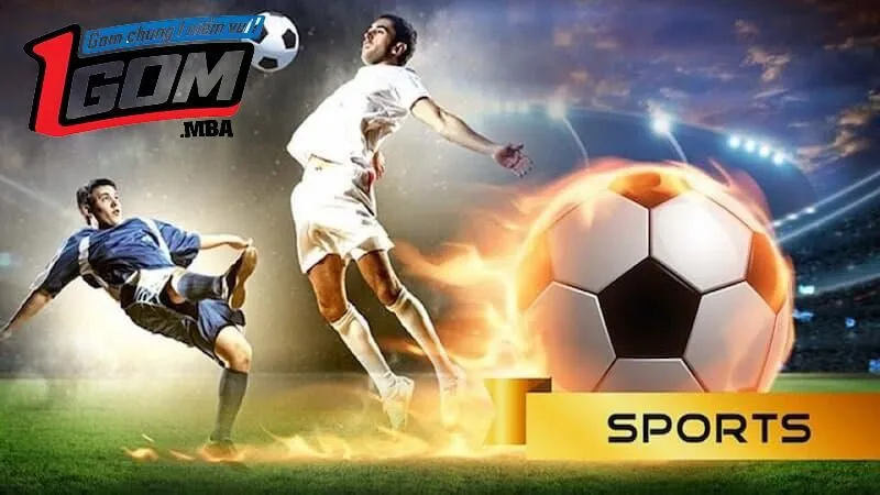 Đánh giá khách quan về 1GOM so với các đối thủ khác