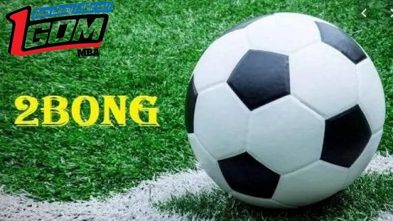 Đôi nét về 2BONG