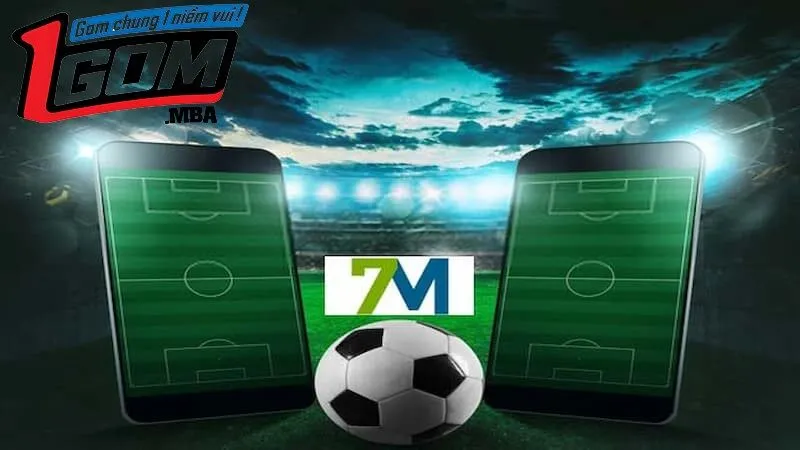 Giới thiệu về nền tảng 7M