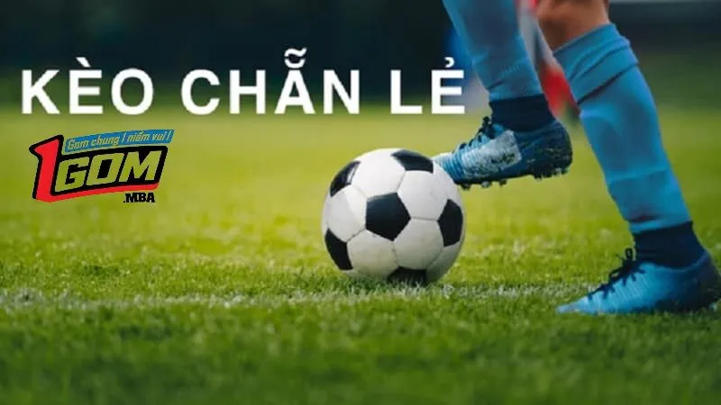 Bí mật kèo chẵn lẽ - Mẹo chơi của cao thủ