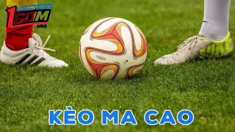 Đặc điểm nổi bật của kèo Macau khiến người chơi yêu thích