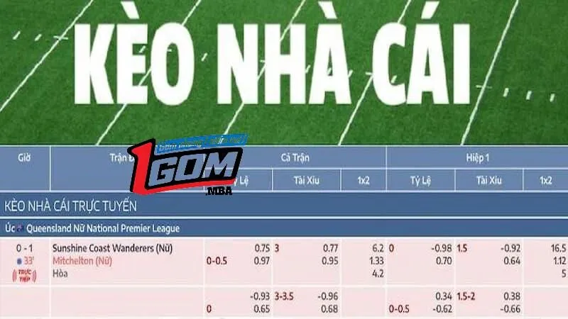 Điểm danh các tỷ lệ cược kèo cá cược phổ biến